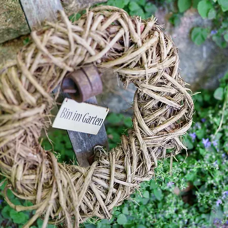 Apartament Casa Bianca Offenburg